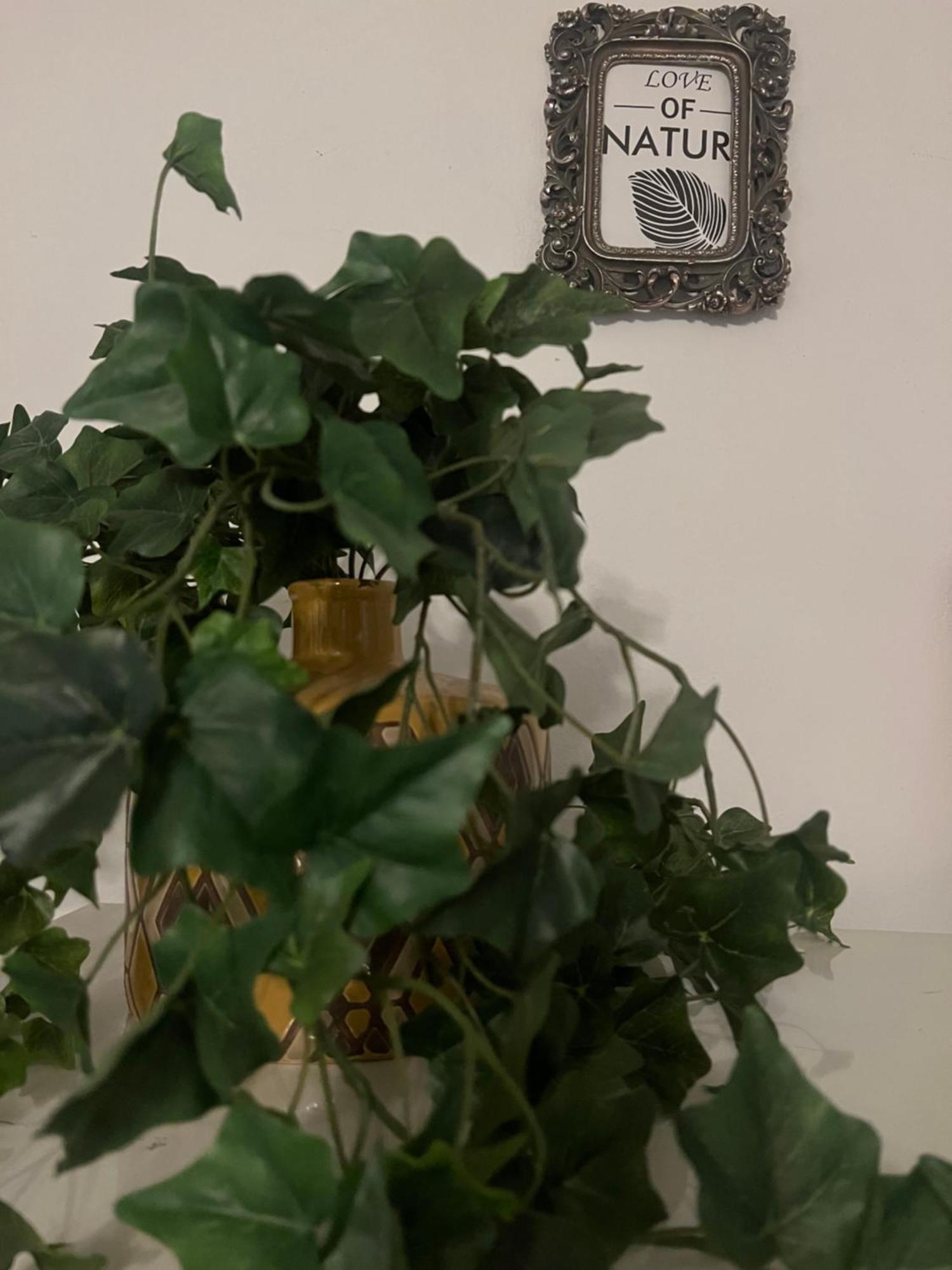 Lamda Vintage Appartment 아테네 외부 사진